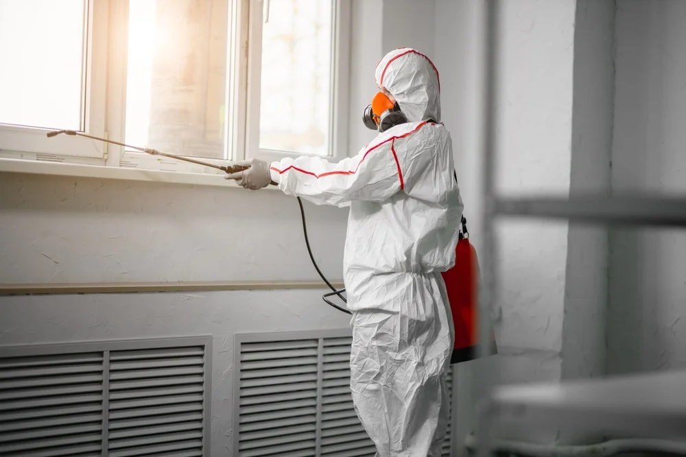 Professional mold remediation services in Kitty Hawk, NC